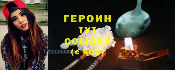 ГАЛЛЮЦИНОГЕННЫЕ ГРИБЫ Богданович