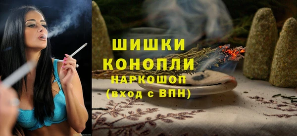 прущие грибы Белоозёрский