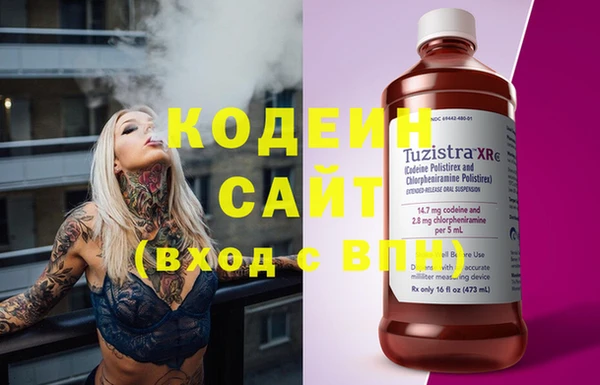 ГАЛЛЮЦИНОГЕННЫЕ ГРИБЫ Богданович